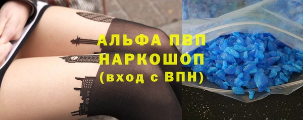 ешки Новозыбков