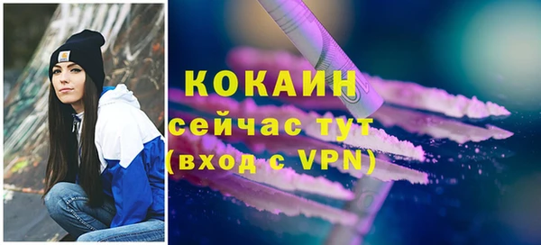 дурь Новодвинск