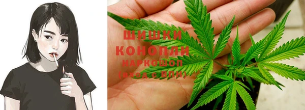 ешки Новозыбков