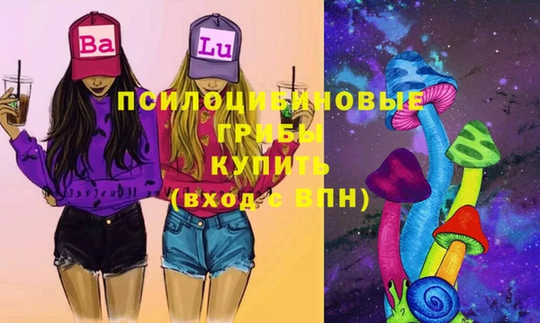 ешки Новозыбков