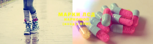 дурь Новодвинск
