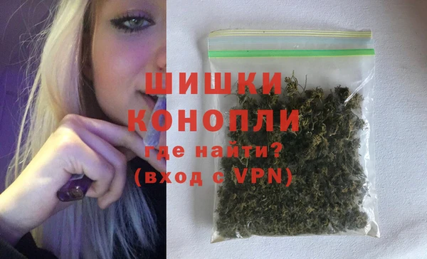 прущие грибы Нягань