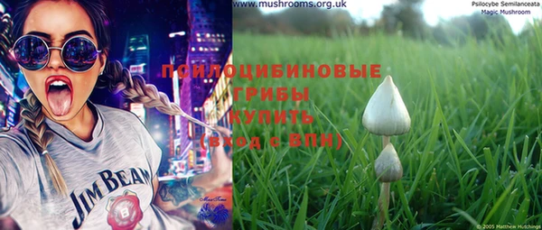дурь Новодвинск