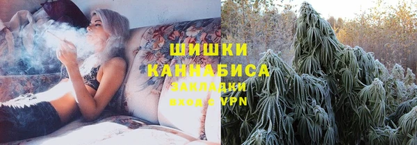 дурь Новодвинск