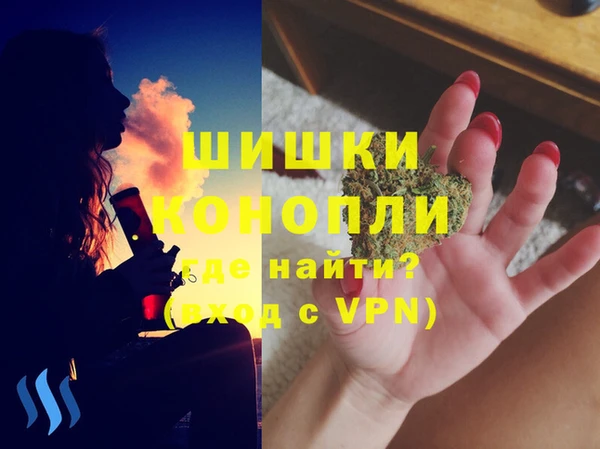 дурь Новодвинск