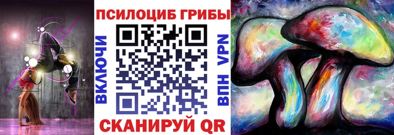 Псилоцибиновые грибы мухоморы  Купить закладки  Ставрополь 