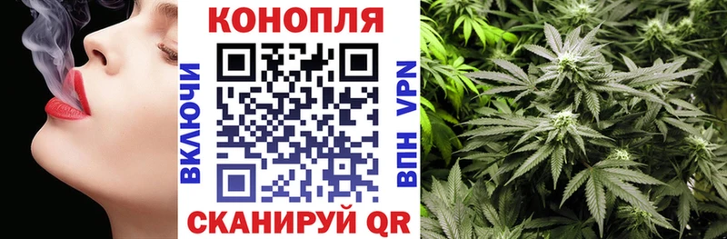 Каннабис планчик  Купить  Ставрополь 